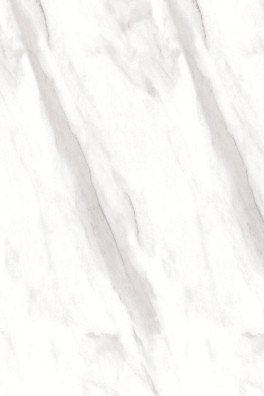 PPC 23095 PPC 23095