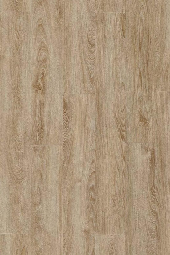 Select Midland Oak 22231 Select Midland Oak 22231