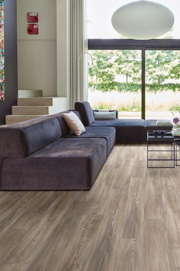 Transform Mexican Ash 20245 Click