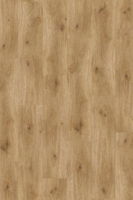 Basic 200 Eiken Horizont