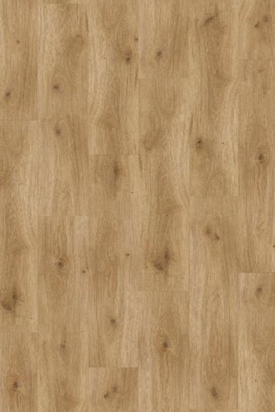 Basic 200 Eiken Horizont Basic 200 Eiken Horizont