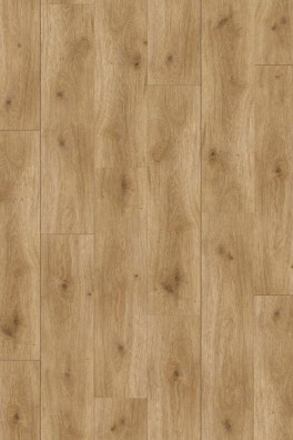 Basic 400 4V Eiken Horizont