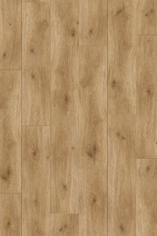 Basic 400 4V Eiken Horizont Basic 400 4V Eiken Horizont