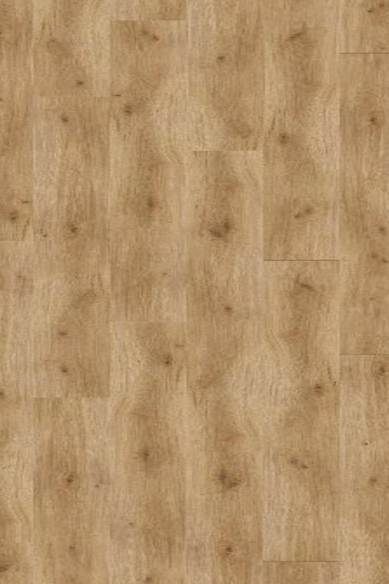 Trendtime 6 XL Eiken Horizont Trendtime 6 XL Eiken Horizont
