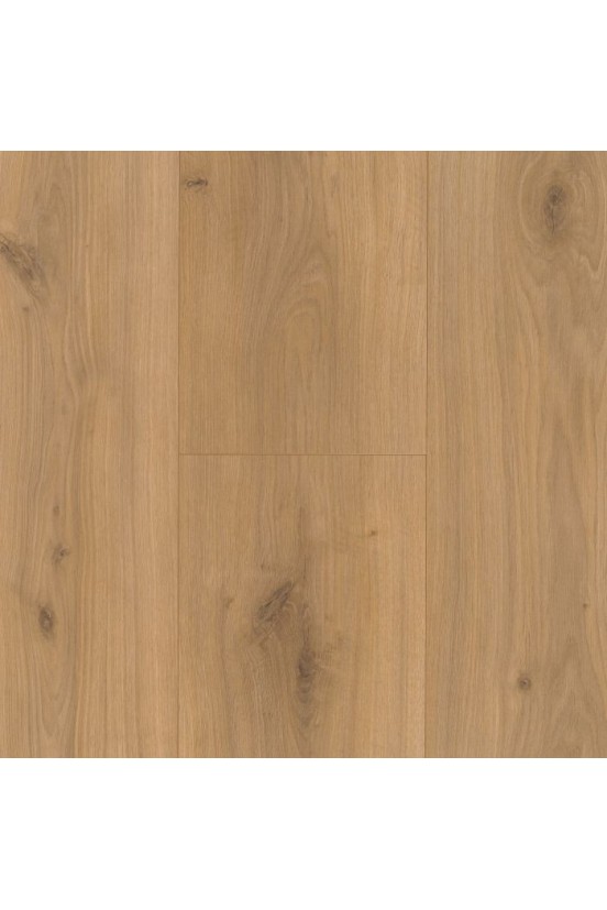 Parador Basic 600 XS Eiken Horizont 1593845 Parador Basic 600 XS Eiken Horizont 1593845