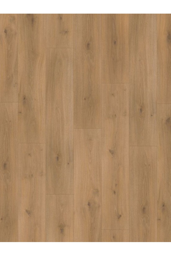 Parador Basic 600 XS Eiken Horizont 1593845 Parador Basic 600 XS Eiken Horizont 1593845