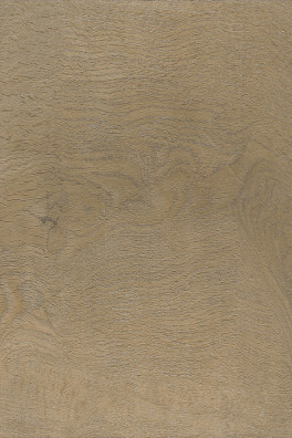 Viva Floors Rigid Click Eiken 6850