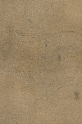 Viva Floors Rigid Click Eiken 8300