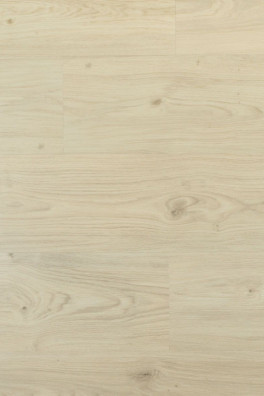 Douwes Dekker Ambitieus Riante Plank Cheesecake