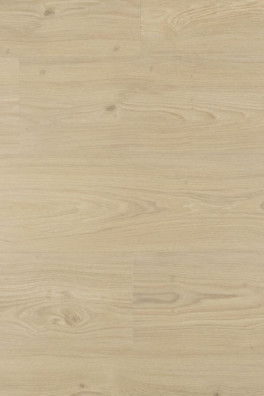 Douwes Dekker Ambitieus Riante Plank Tiramisu