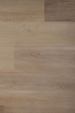 Douwes Dekker Ambitieus Riante Plank Honing Kandij