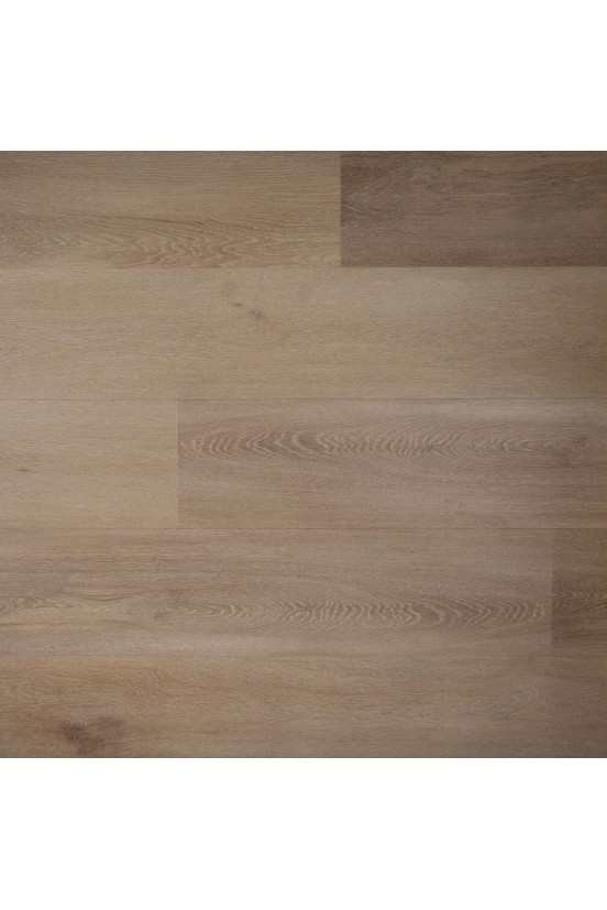 Douwes Dekker Ambitieus Riante Plank Honing Kandij Douwes Dekker Ambitieus Riante Plank Honing Kandij