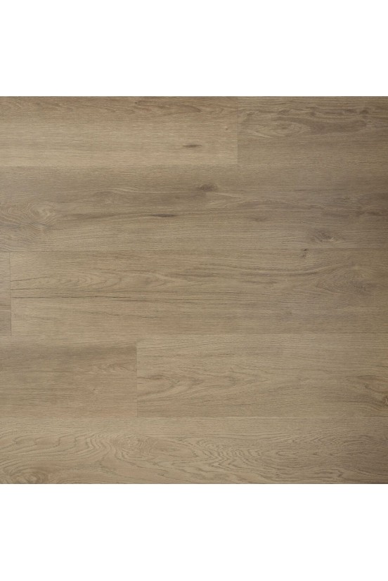 Douwes Dekker Ambitieus Riante Plank Spekkoek Douwes Dekker Ambitieus Riante Plank Spekkoek