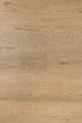 Douwes Dekker Ambitieus Riante Plank Gemberkoek