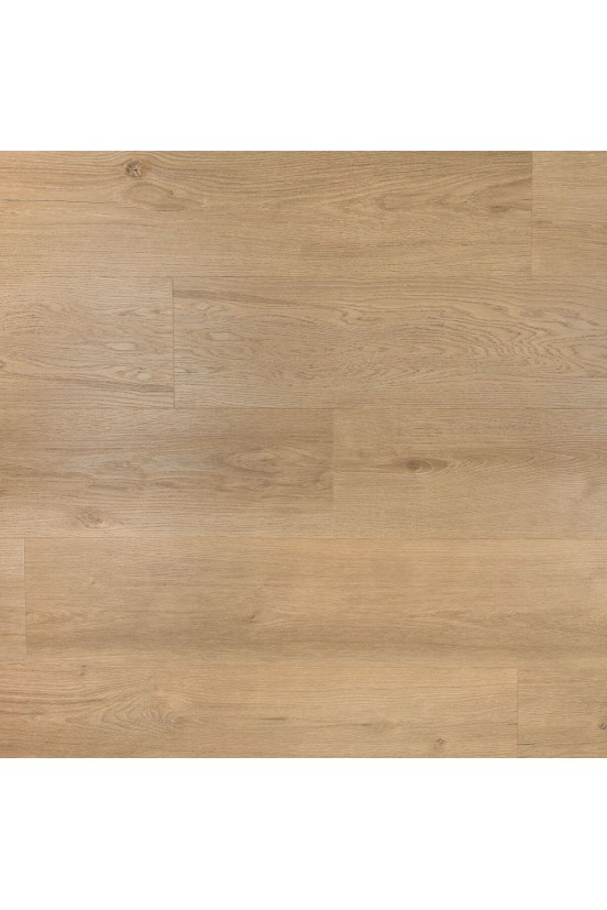 Douwes Dekker Ambitieus Riante Plank Gemberkoek Douwes Dekker Ambitieus Riante Plank Gemberkoek