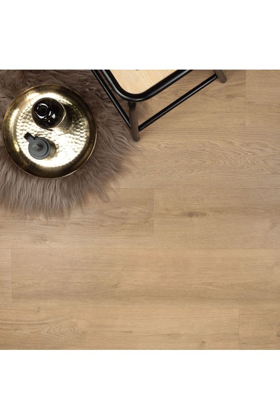 Douwes Dekker Ambitieus Riante Plank Gemberkoek Douwes Dekker Ambitieus Riante Plank Gemberkoek