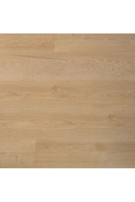 Douwes Dekker Ambitieus Riante Plank Boterkoek Douwes Dekker Ambitieus Riante Plank Boterkoek
