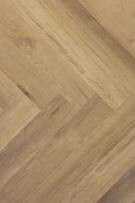 Douwes Dekker Ambitieus Trendy Visgraat Gemberkoek