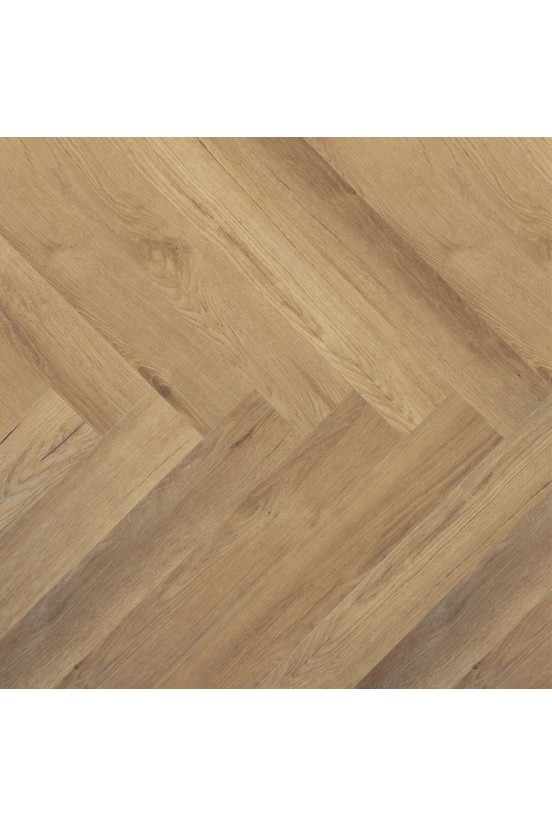 Douwes Dekker Ambitieus Trendy Visgraat Gemberkoek Douwes Dekker Ambitieus Trendy Visgraat Gemberkoek