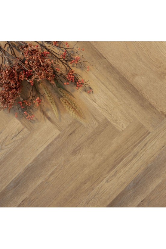 Douwes Dekker Ambitieus Trendy Visgraat Gemberkoek Douwes Dekker Ambitieus Trendy Visgraat Gemberkoek