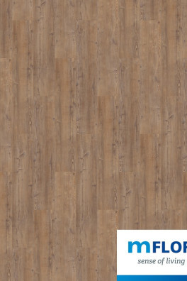 Mflor Argyll Fir Comerford 75170