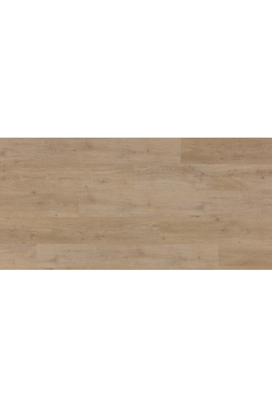 Zenn 55 Faro Plank DB 60002257 Zenn 55 Faro Plank DB 60002257