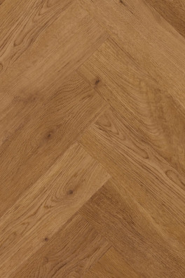 Zenn 55 Caïro Visgraat DB