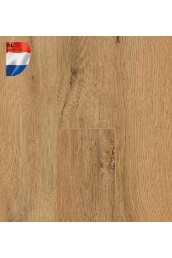 Connect 8 V4 Gyant Natural Connect 8 V4 Gyant Natural