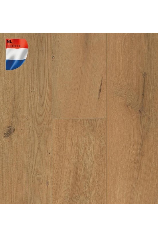 Connect 8 V4 Gyant Warm Natural Connect 8 V4 Gyant Warm Natural
