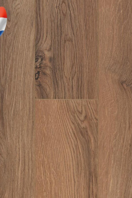 Connect 8 V4 Gyant Brown Natural