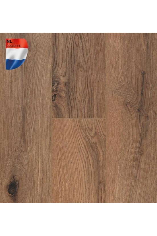 Connect 8 V4 Gyant Brown Natural Connect 8 V4 Gyant Brown Natural