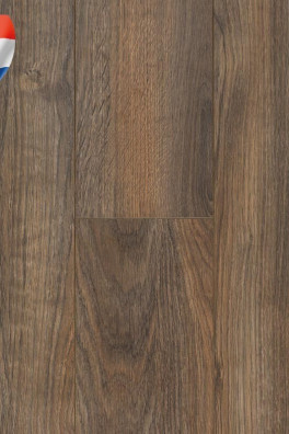 Connect 8 V4 Java Brown