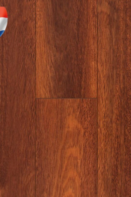 Connect 8 V4 Merbau Brown