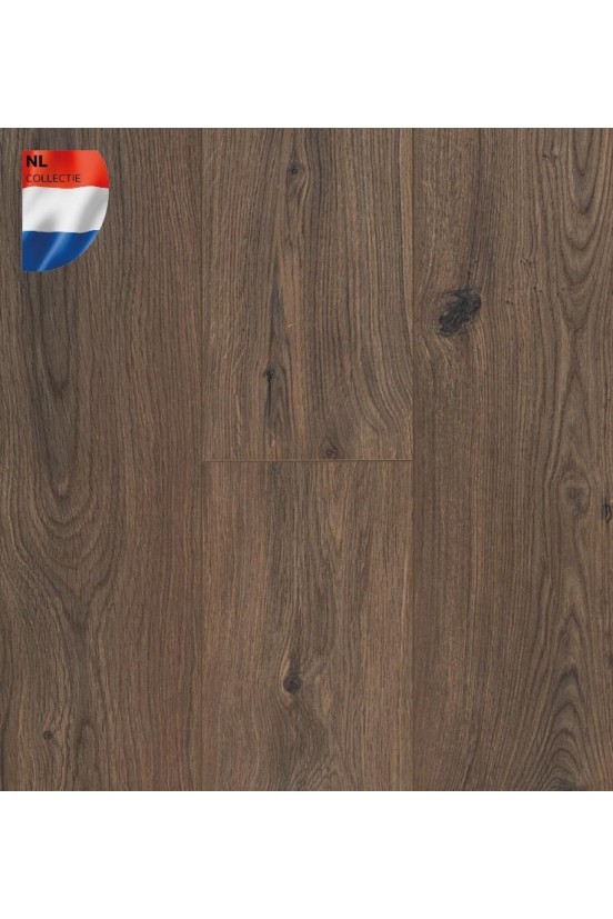 Ocean 8 V4 Gyant Dark Brown Ocean 8 V4 Gyant Dark Brown