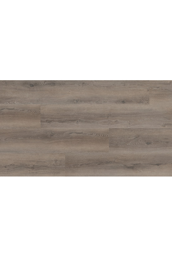 Montinique Progress XL PLank 54818 Montinique Progress XL PLank 54818