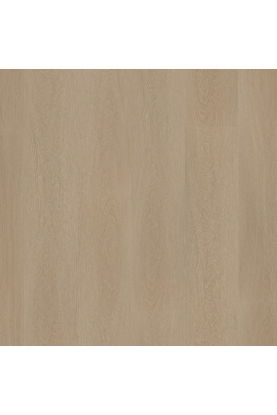 Ambiant Rigid Click Estino Smoky Ambiant Rigid Click Estino Smoky