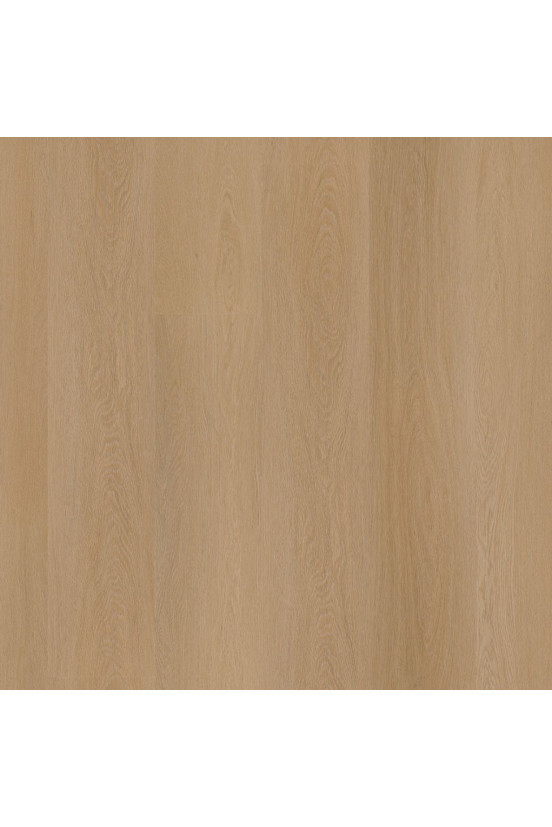 Ambiant Estino Dark Oak Ambiant Estino Dark Oak