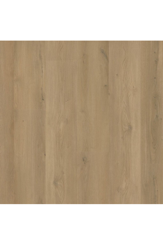 Ambiant Rigid Click Espero Warm Oak Ambiant Rigid Click Espero Warm Oak