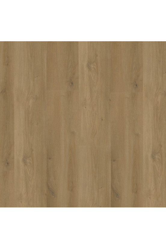 Ambiant Rigid Click Espero Dark Oak Ambiant Rigid Click Espero Dark Oak
