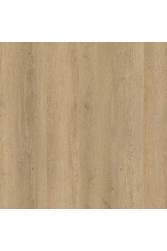 Ambiant Rigid Click Espero Beige Ambiant Rigid Click Espero Beige