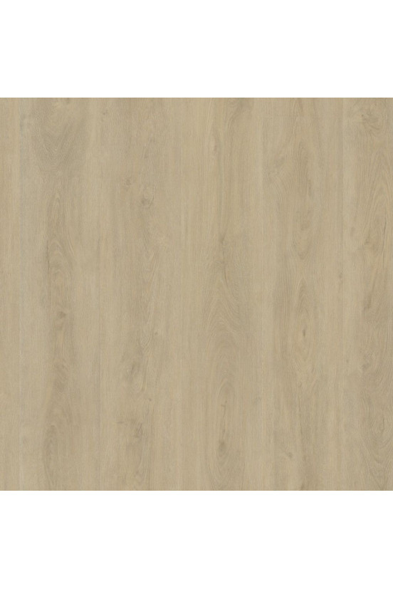 Ambiant Rigid Click Robusto Light Natural Ambiant Rigid Click Robusto Light Natural