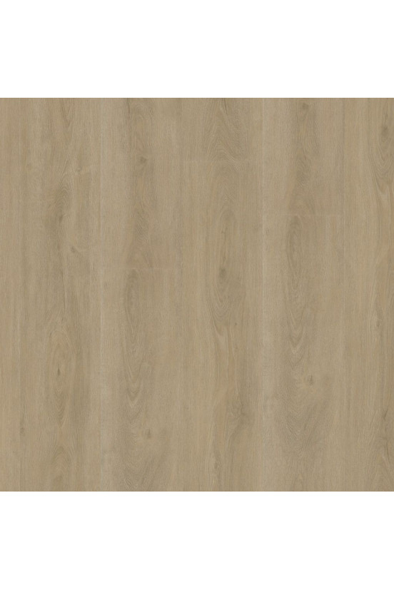 Ambiant Rigid Click Robusto Beige Ambiant Rigid Click Robusto Beige