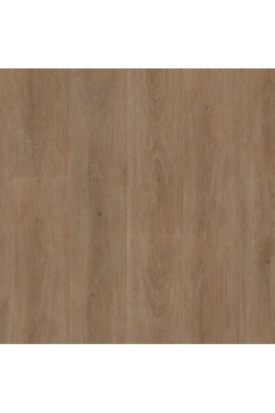 Ambiant Rigid Click Robusto Dark Oak 2557 Ambiant Rigid Click Robusto Dark Oak 2557
