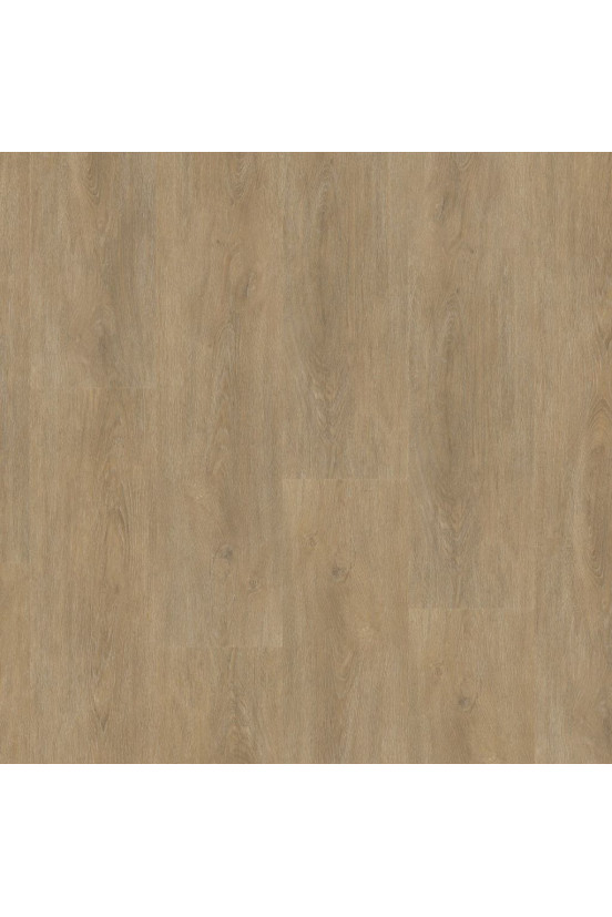 Ambiant Robusto Natural Oak