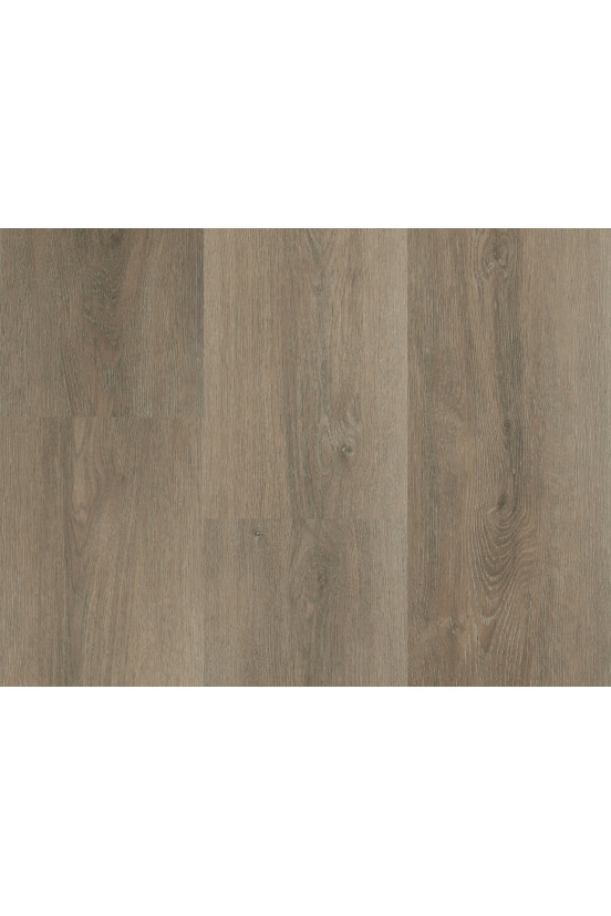 Montinique Charente XL Plank 5561