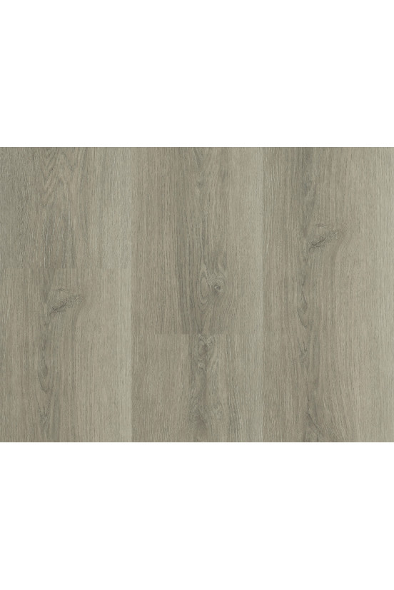 Montinique Charente XL Plank 5558