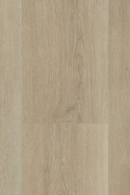 Montinque Charente XL Plank 5547