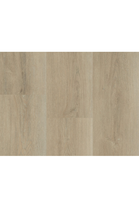 Montinque Charente XL Plank 5547 Montinque Charente XL Plank 5547
