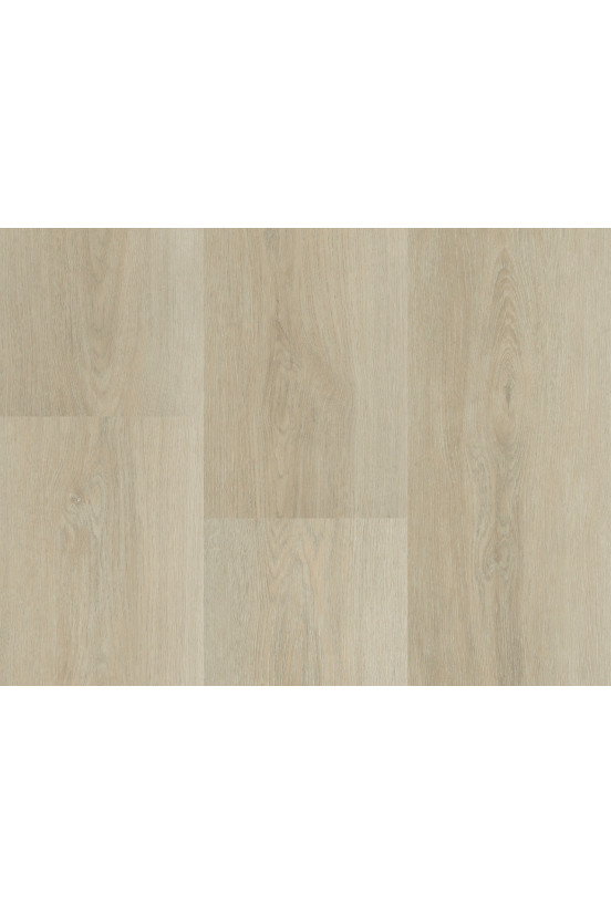 Montinique Charente XL Plank 5546