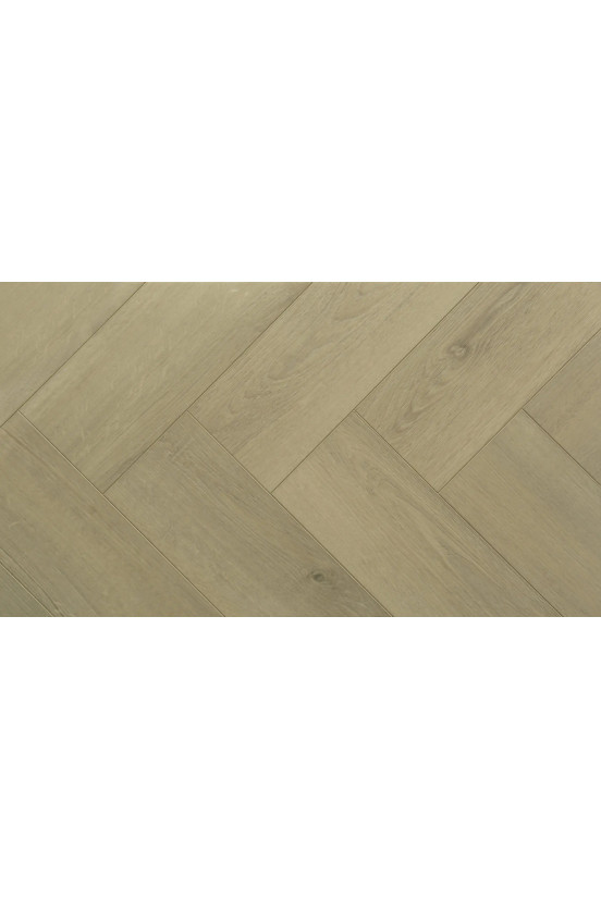Montinique Clermont Visgraat XL 77822 Montinique Clermont Visgraat XL 77822